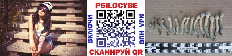 Галлюциногенные грибы GOLDEN TEACHER  Болохово 